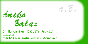 aniko balas business card